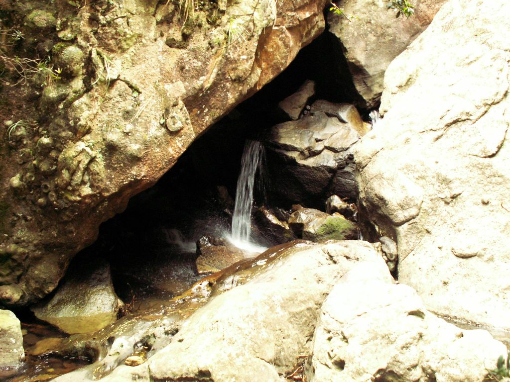 ROYAL NP - een waterval