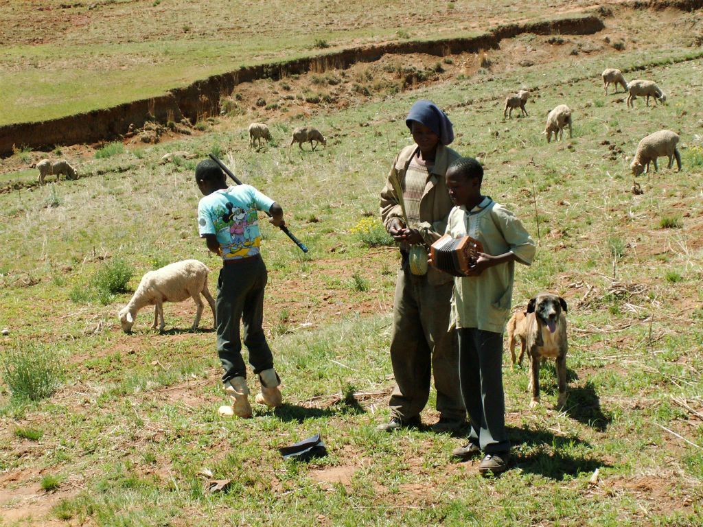 LESOTHO - enkele schaapsherders die optreden