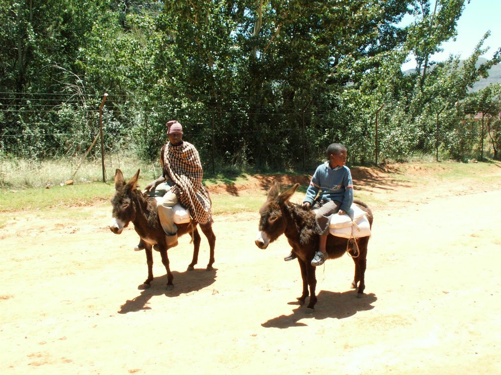 LESOTHO - twee Afrikanen op een ezel