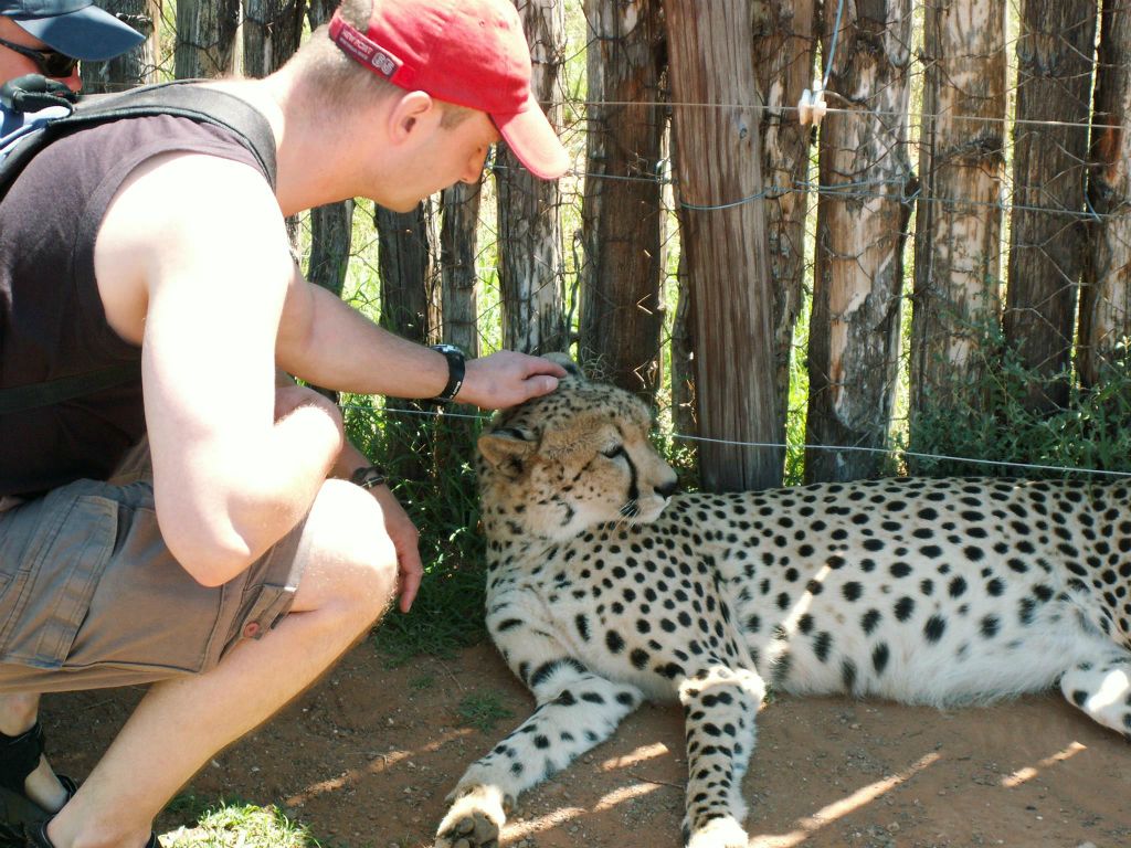 Carlos bij een cheetah