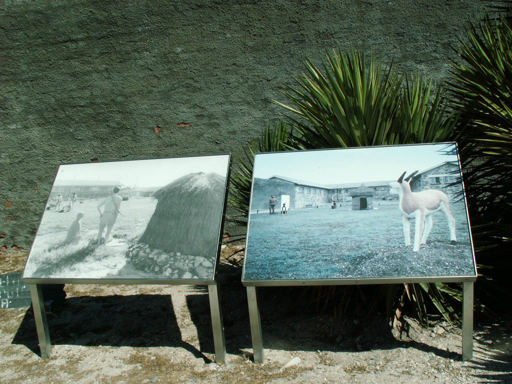 KAAPSTAD - enkele foto's bij de gevangenis op Robbeneiland