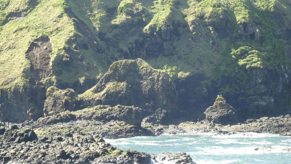 BUSHMILLS - de liggende kameel rots bij de Giant's Causeway
