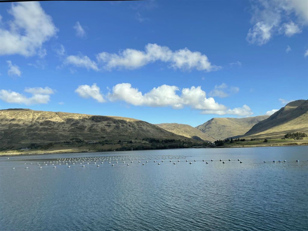 CONNEMARA - enkele rijen met mosseltonnen bij de gletsjerford Killary Harbour