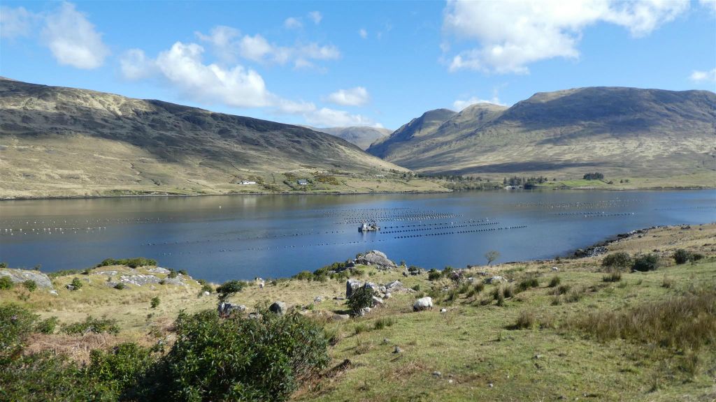 CONNEMARA - enkele rijen met mosseltonnen bij de gletsjerford Killary Harbour