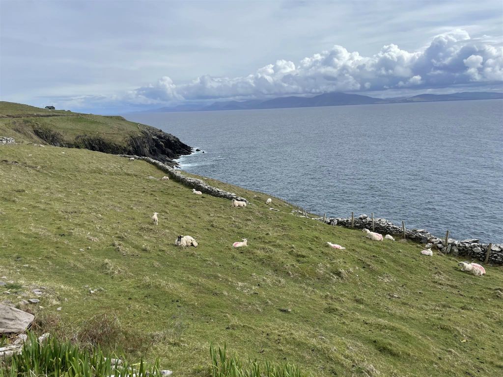 DINGLE - het landschap