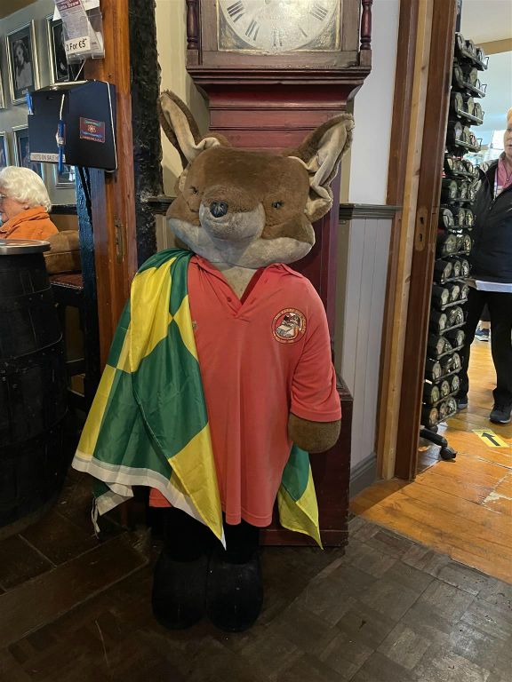 KILLORGLIN - een mascotte bij de traditionele pub The Red Fox Inn