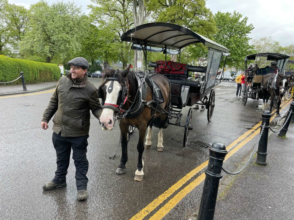 KILLARNEY - de koetsier voor zijn paardenkoets waarmee we gereden hebben