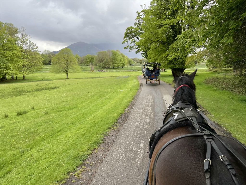 KILLARNEY - onderweg tijdens de koetstocht door het Killarney National Park