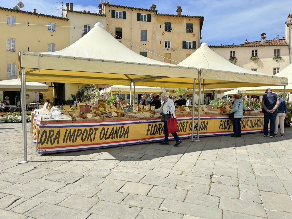 LUCCA - een bloemenmarkt met bloemen uit Nederland