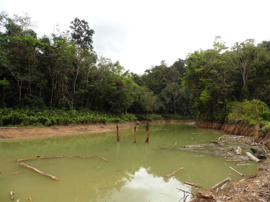 BATANG AI NATIONAL PARK - het uitzicht bij de lunchplek onderweg naar het tweede IBAN longhouse