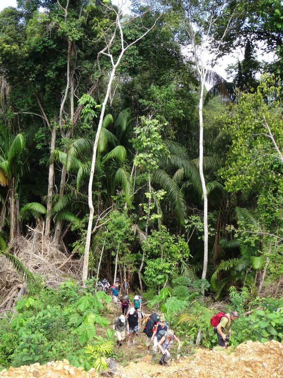BATANG AI NATIONAL PARK - onderweg naar het tweede IBAN longhouse