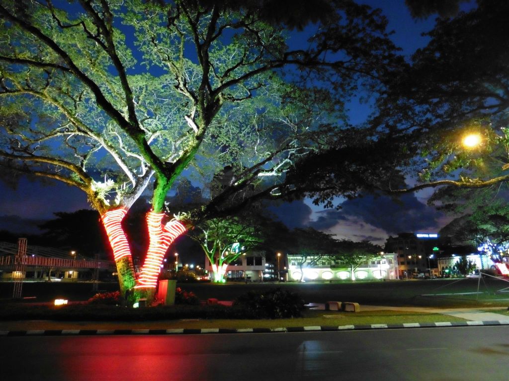 KUCHING - een mooi verlichte boom in een park