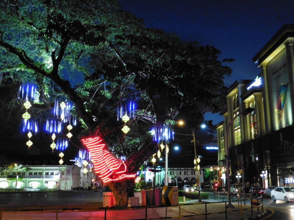 KUCHING - een mooi verlichte boom in een park