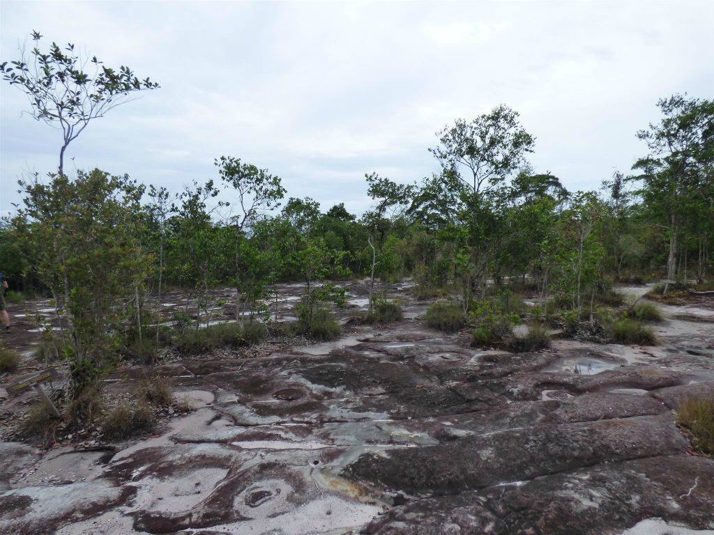 BAKO NATIONAL PARK - onderweg tijdens de Tajor route