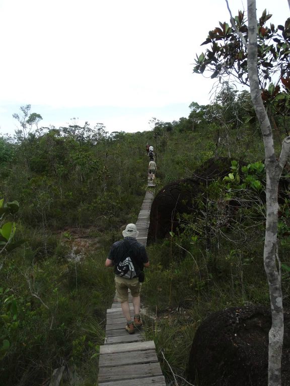 BAKO NATIONAL PARK - Carlos en enkele groepsgenoten onderweg tijdens de Tajor route