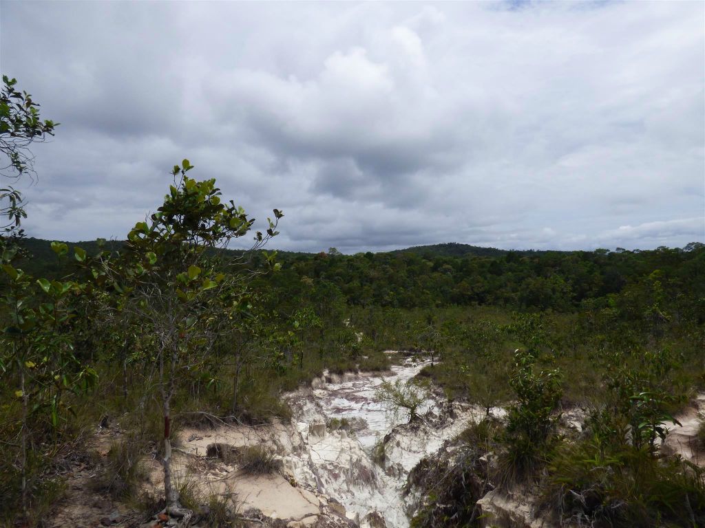 BAKO NATIONAL PARK - het uitzicht onderweg tijdens de Tajor route