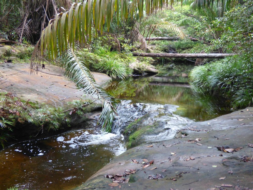 BAKO NATIONAL PARK - de kleine Tajor waterval onderweg tijdens de Tajor route
