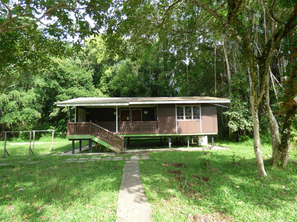 BAKO NATIONAL PARK - de bungalow waar we met vieren sliepen