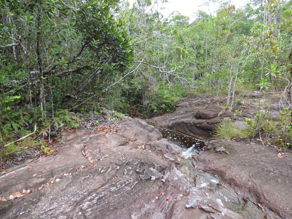 BAKO NATIONAL PARK - onderweg tijdens de Lintang route