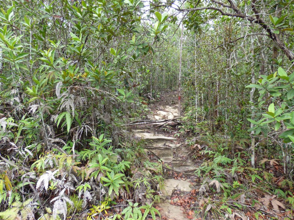 BAKO NATIONAL PARK - onderweg tijdens de Lintang route