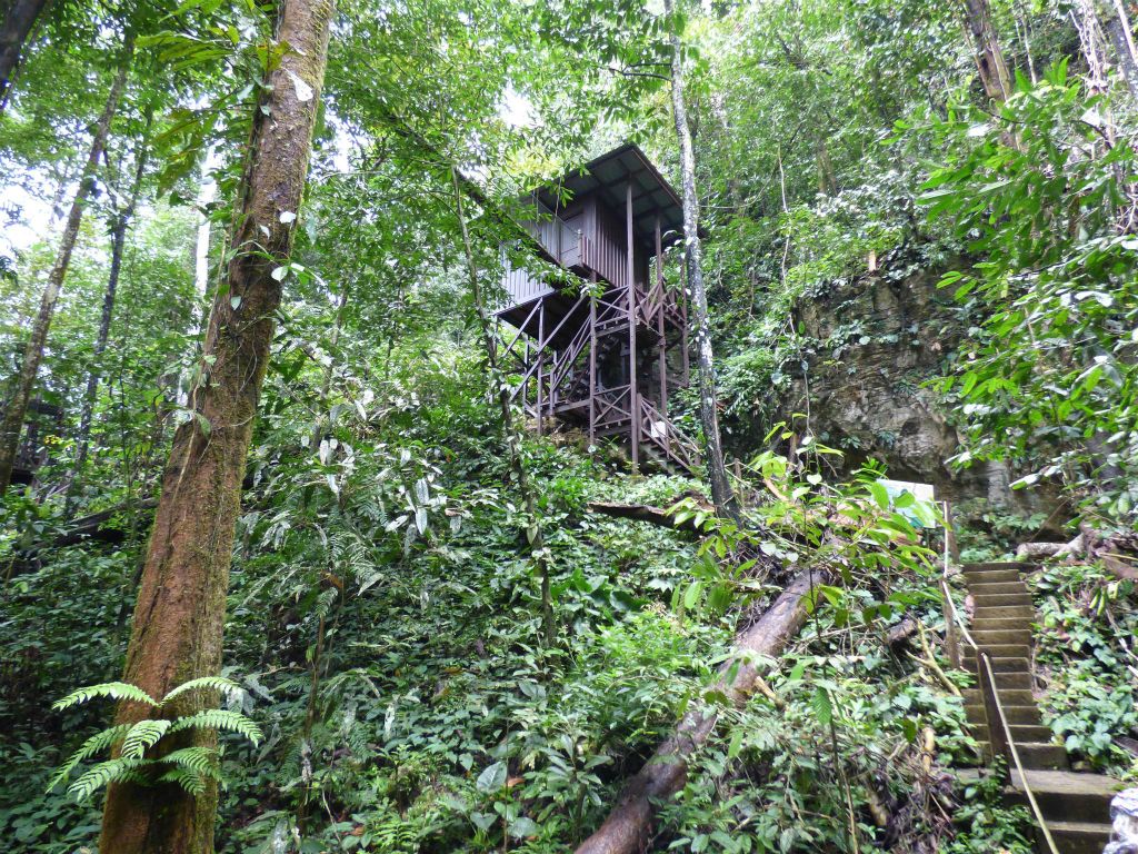 MULU NATIONAL PARK - het beginpunt van de canopy loopbruggen