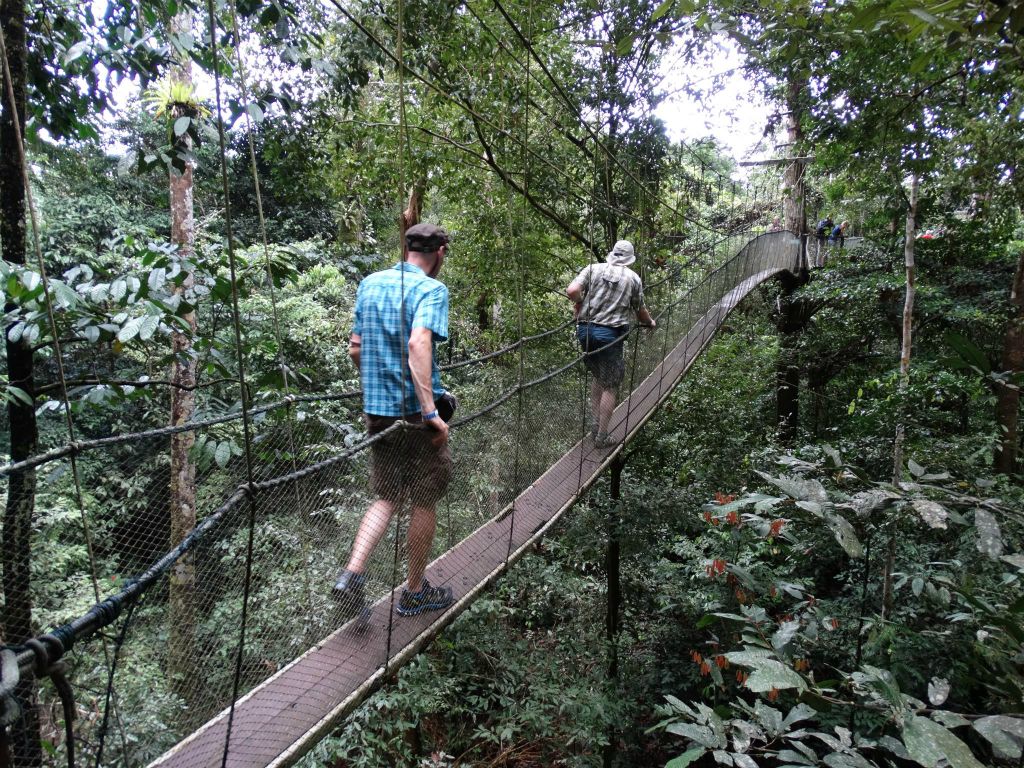MULU NATIONAL PARK - Kees en Carlos op de eerste canopy loopbrug