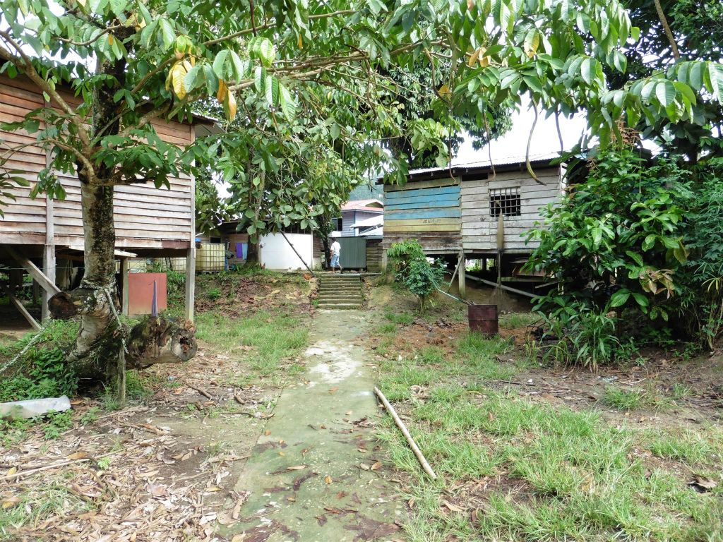 MULU NATIONAL PARK - het dorp van de Penan stam
