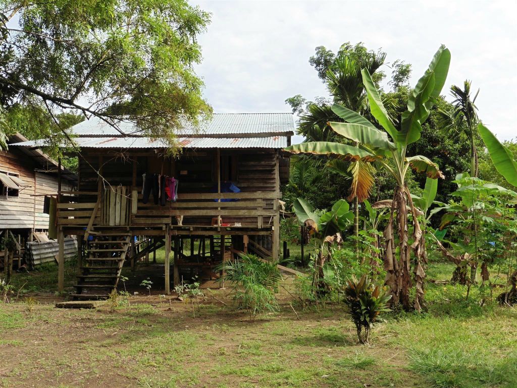 MULU NATIONAL PARK - een paalwoning in het dorp van de Penan stam
