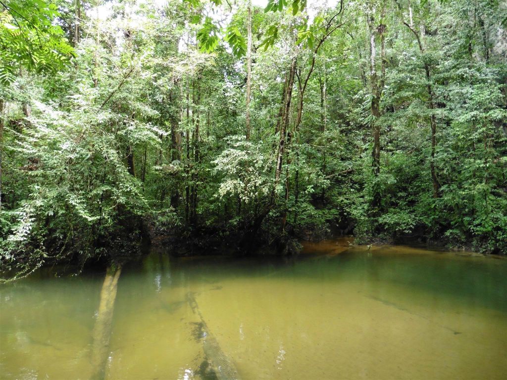MULU NATIONAL PARK - het uitzicht bij de lunchplek