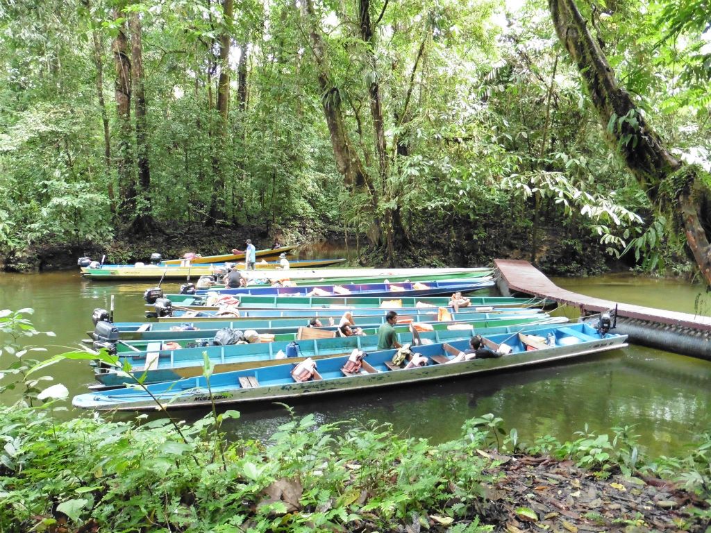 MULU NATIONAL PARK - de verzamelplaats voor boten bij de lunchplek