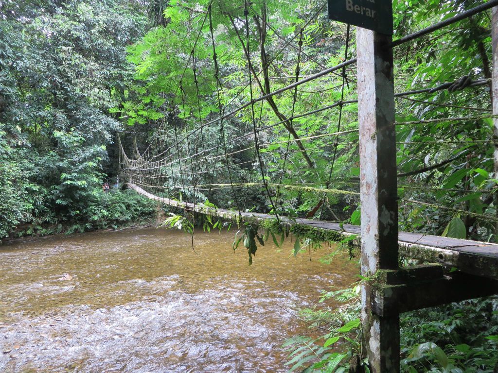 MULU NATIONAL PARK - een hangbrug tijdens het eerste gedeelte van de Headhunters trail (9km)