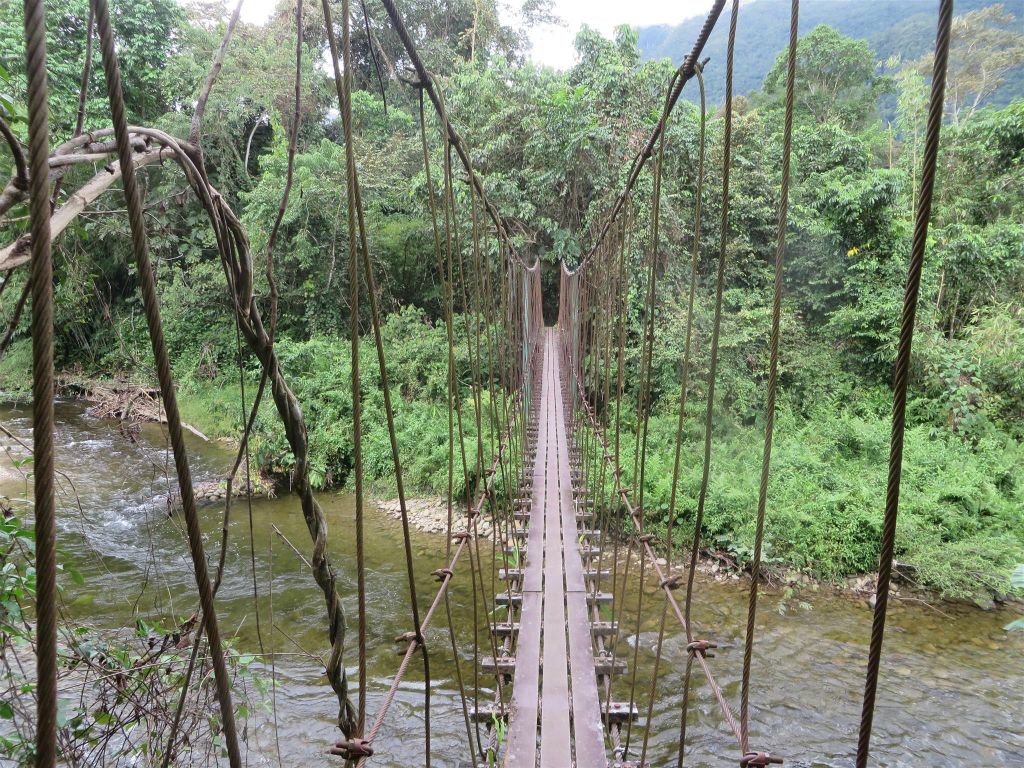 MULU NATIONAL PARK - een hangbrug tijdens het eerste gedeelte van de Headhunters trail (9km)