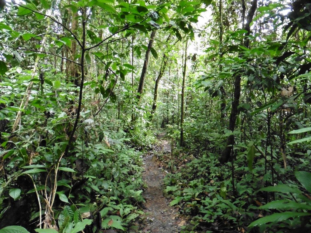 MULU NATIONAL PARK - onderweg tijdens het eerste gedeelte van de Headhunters trail (9km)