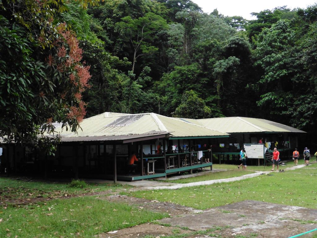 MULU NATIONAL PARK - de overnachtingsplek Camp 5