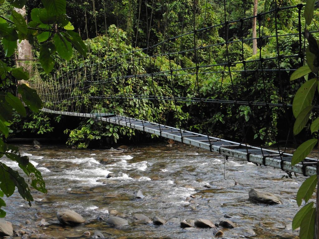 MULU NATIONAL PARK - een hangbrug onderweg tijdens het tweede gedeelte van de Headhunters trail (12km)