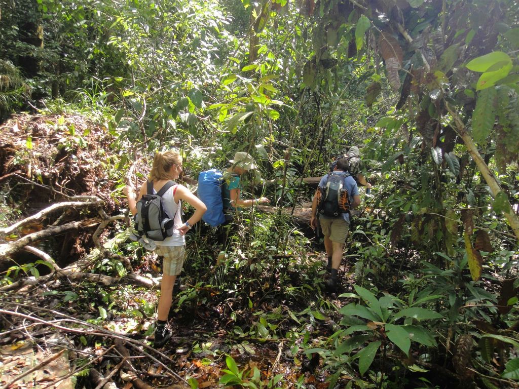 MULU NATIONAL PARK - onderweg tijdens het tweede gedeelte van de Headhunters trail (12km)