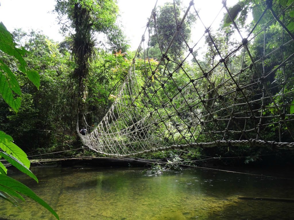 MULU NATIONAL PARK - een touwhangbrug onderweg tijdens het tweede gedeelte van de Headhunters trail (12km)