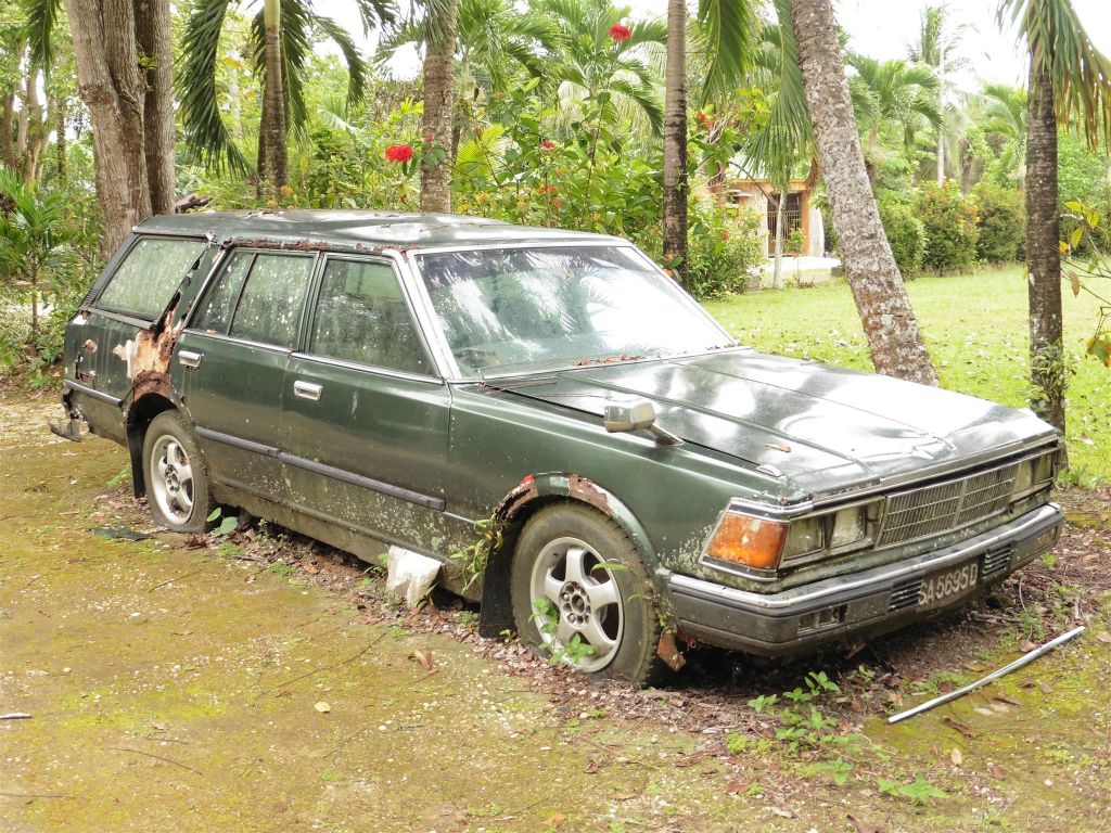 SEPILOK - een achtergelaten auto bij het Sepilok Jungle resort