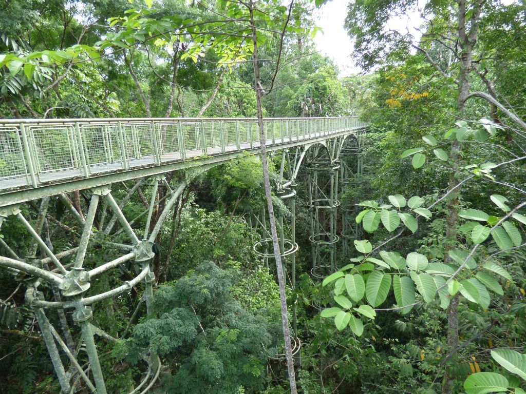 SEPILOK - een canopy brug bij het Rainforest Discovery Centre, een educatiecentrum over de flora en fauna van de regenwouden