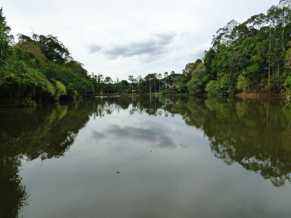 SEPILOK - de vijver bij het Rainforest Discovery Centre, een educatiecentrum over de flora en fauna van de regenwouden