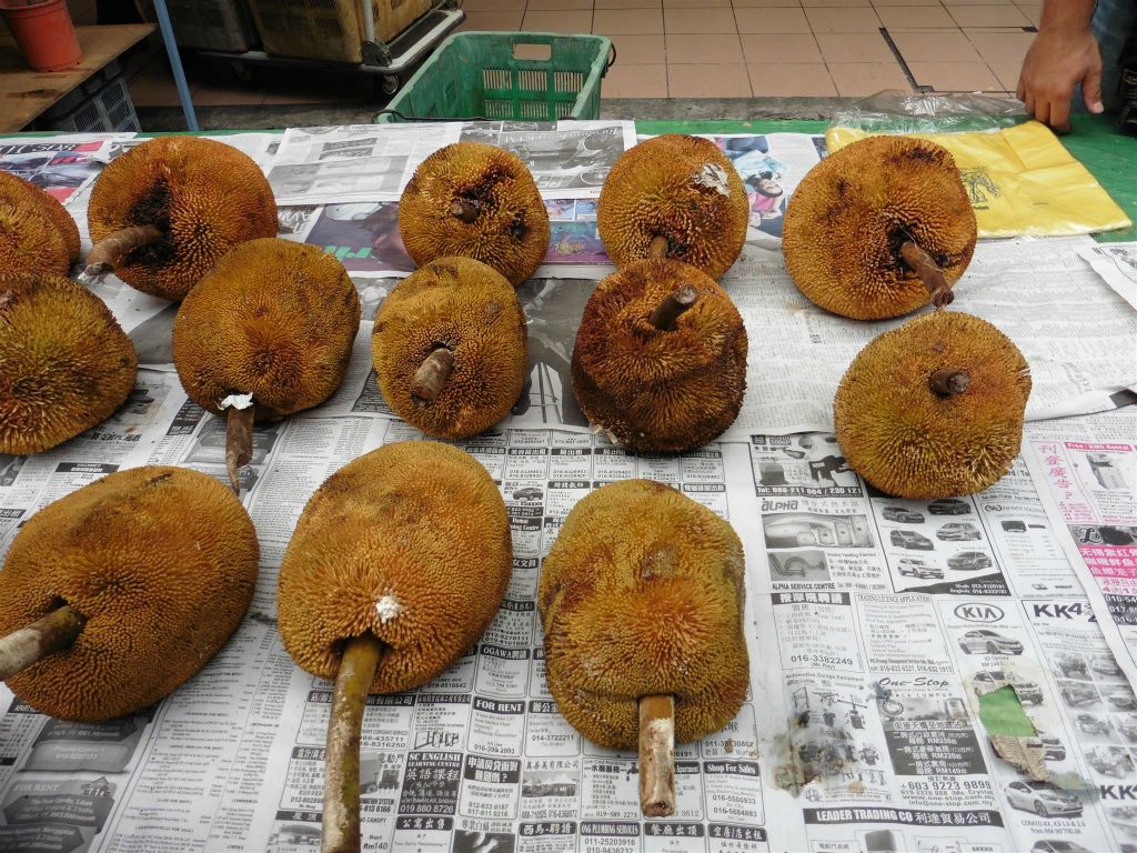 KOTA KINABALU - diverse tjampedaks bij de zondagmarkt
