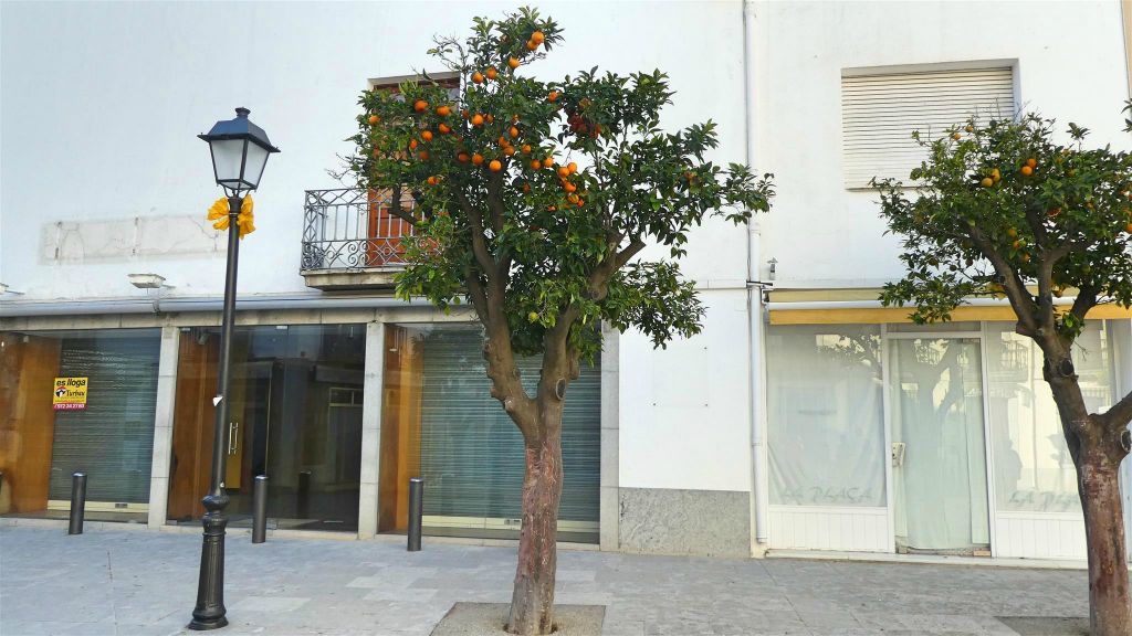 TOSSA DE MAR - een sinaasappelboom bij het plein Plaça Espanya