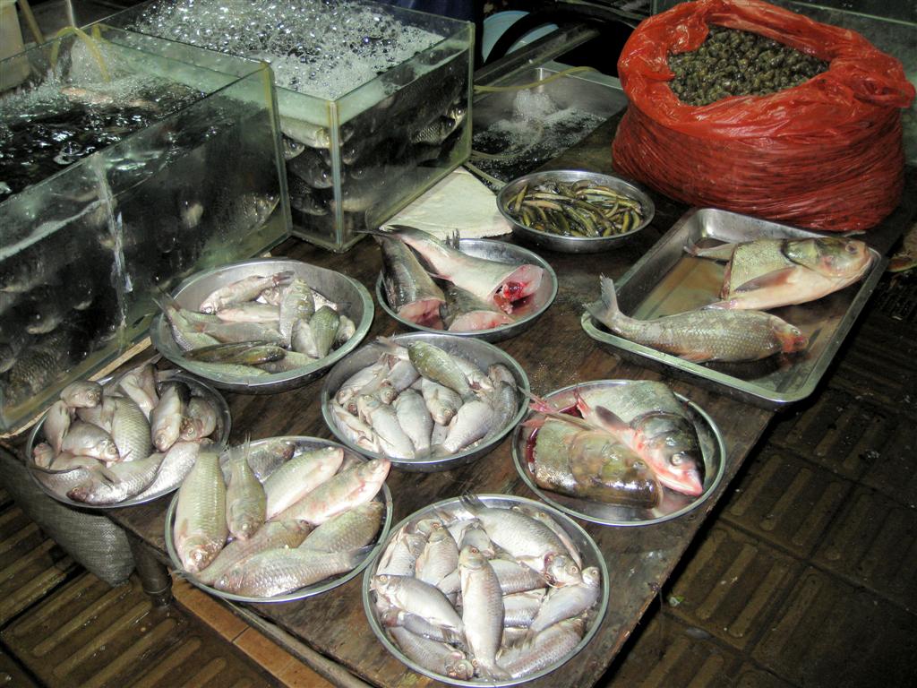 BEIJING - vissen op een lokale markt