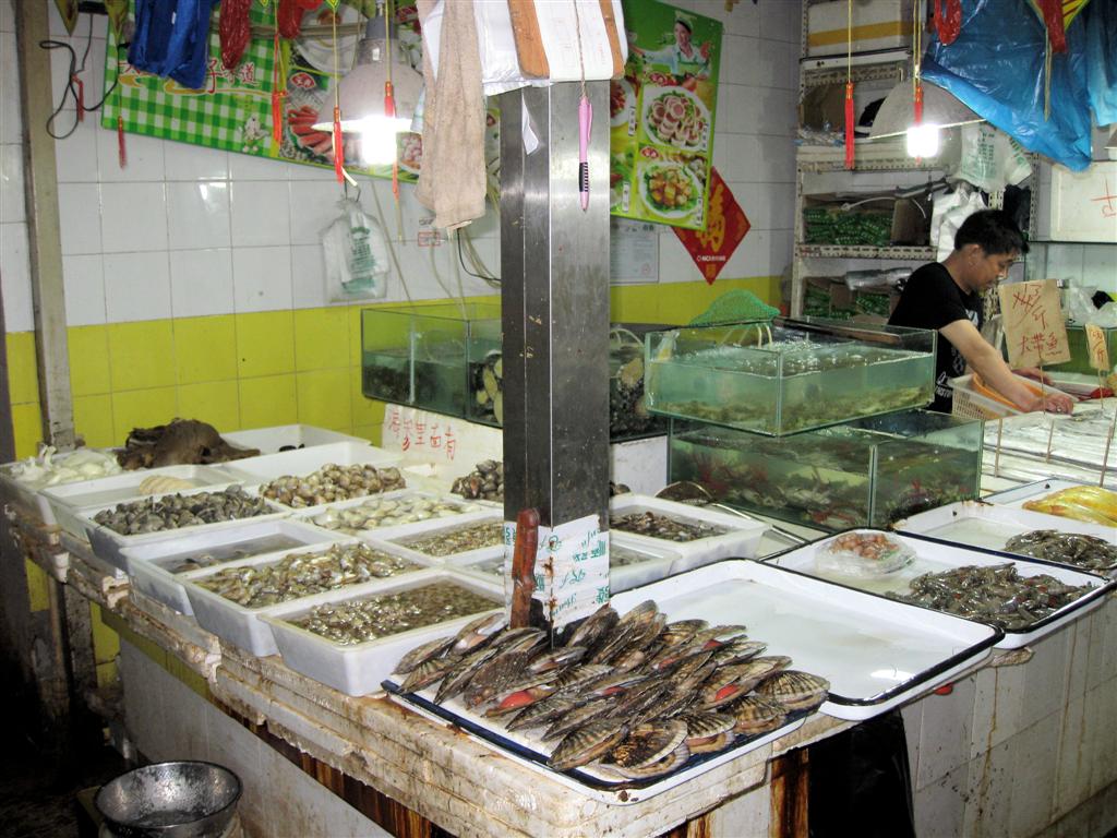 BEIJING - vissen op een lokale markt