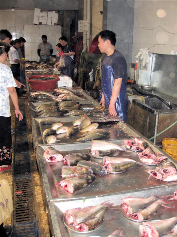 BEIJING - vissen op een lokale markt