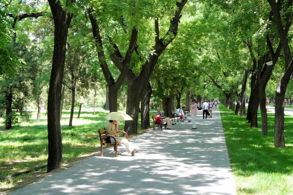 BEIJING - het park bij de tempel van de hemel