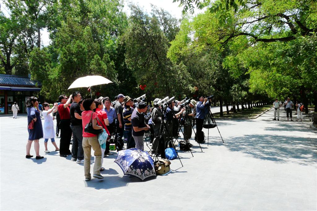 BEIJING - fotografen voor vogel in het park bij de tempel van de hemel