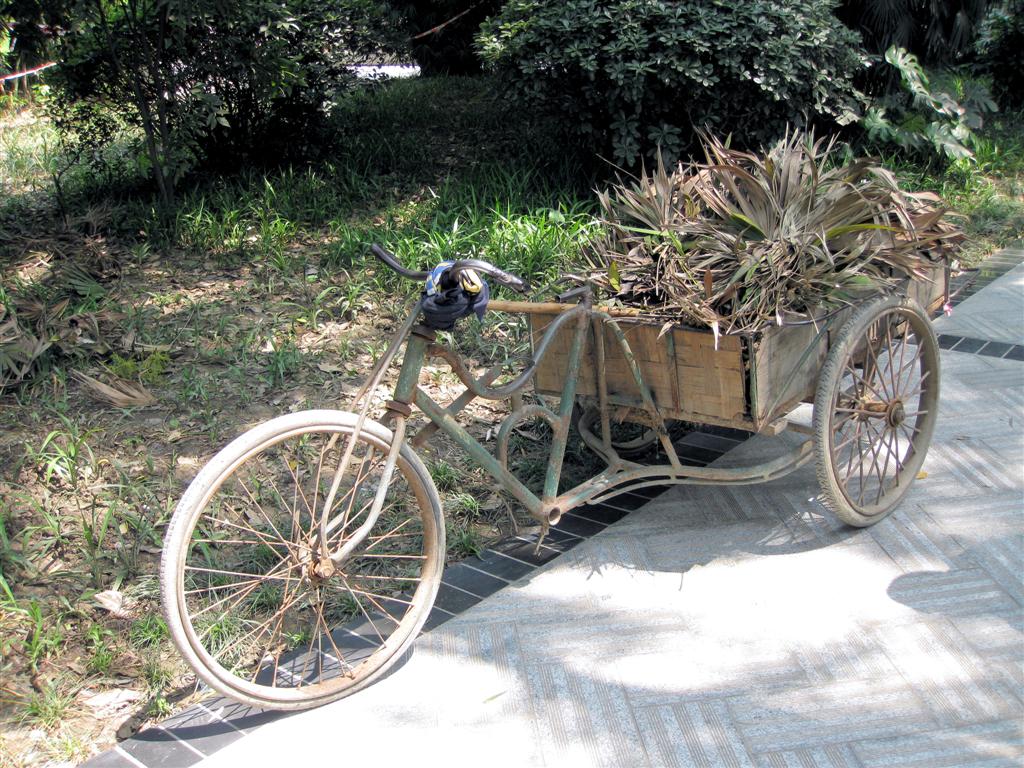 CHENGDU - de fiets van de tuinman van het volkspark