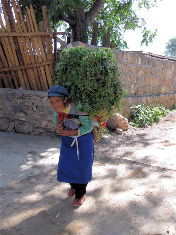 LIJIANG - een oudere vrouw met mand