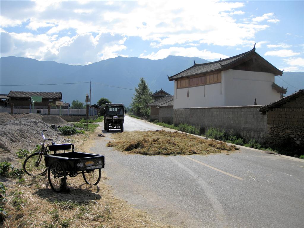 LIJIANG - gerst op de weg